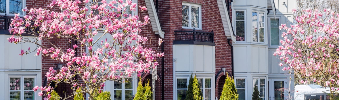 Morningside Property Management